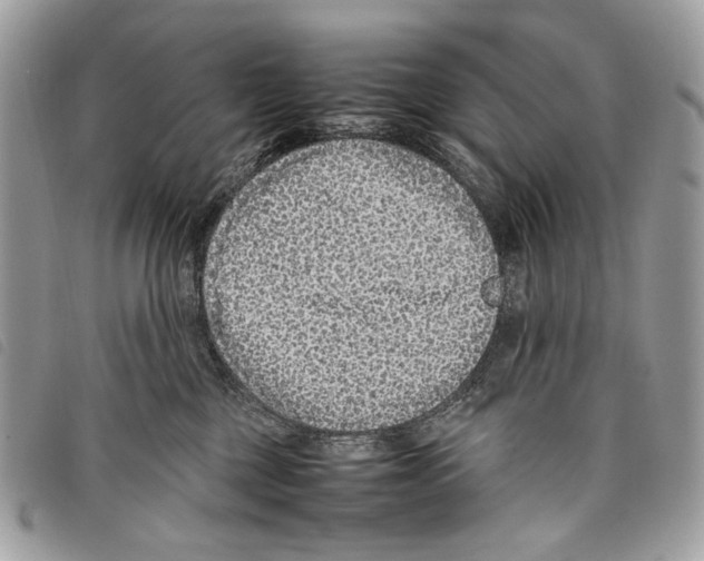 X0000097820377200804111021