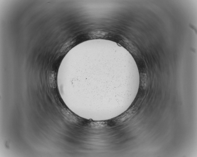 X0000097820378200804111021