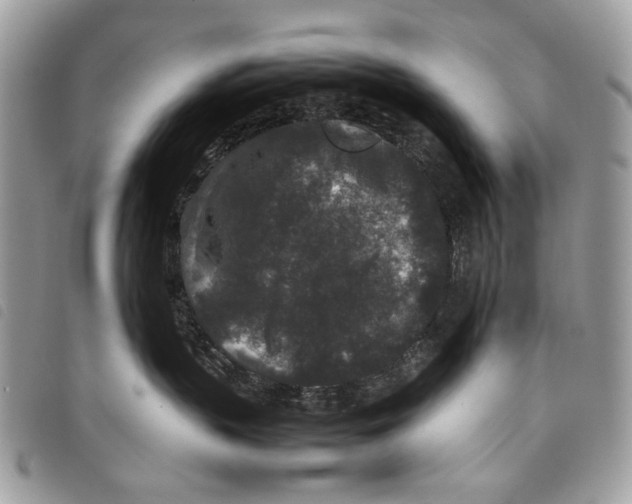 X0000097820383200804111021