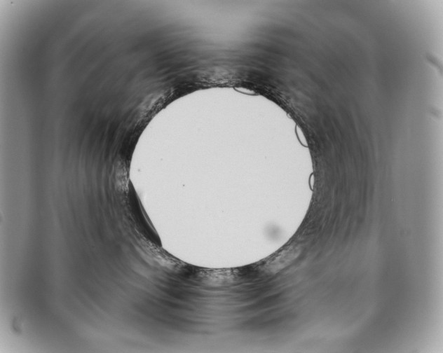 X0000097820384200804111021