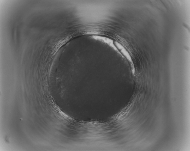 X0000097820385200804111020