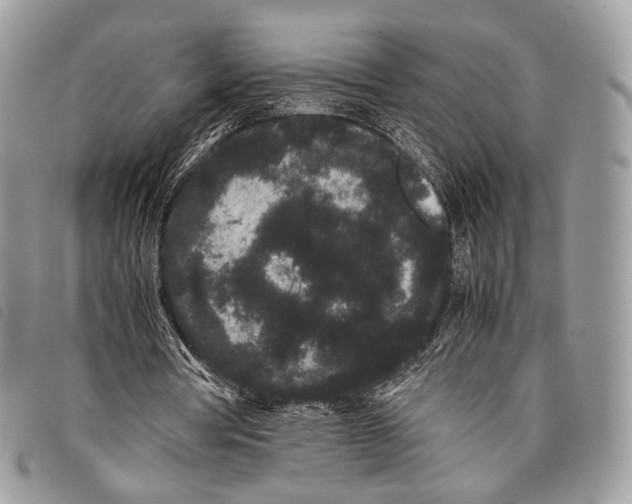 X0000097820386200804111020