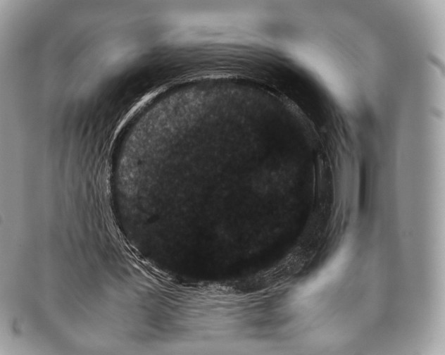 X0000097820387200804111020