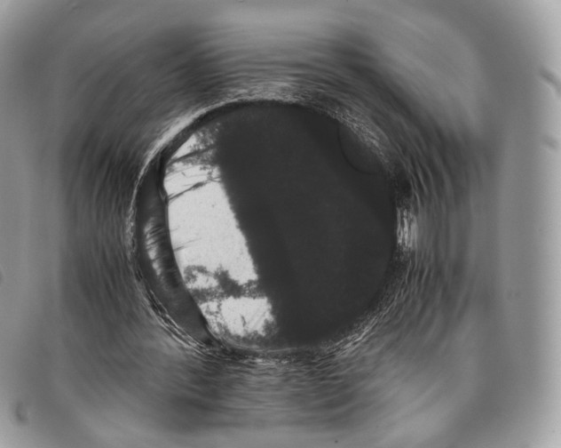 X0000097820388200804111020