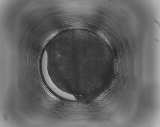 X0000097820389200804111020