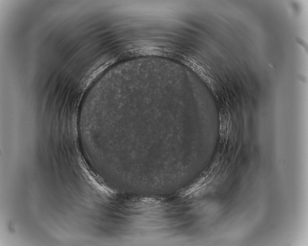 X0000097820390200804111020