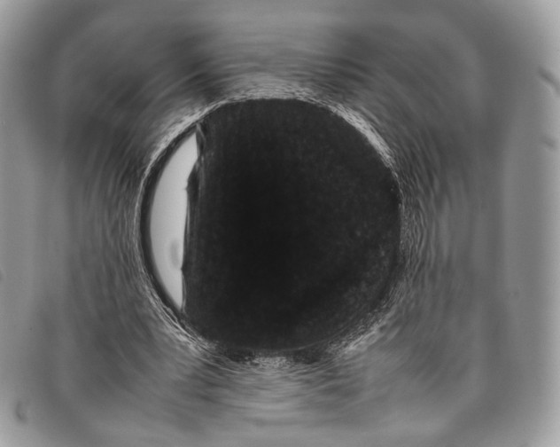 X0000097820391200804111020