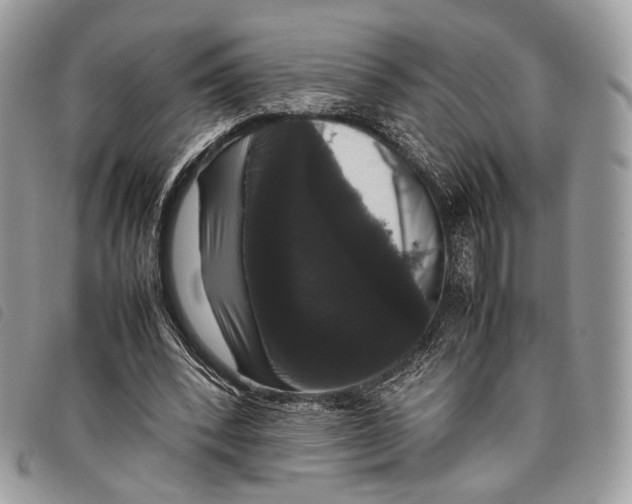 X0000097820392200804111020