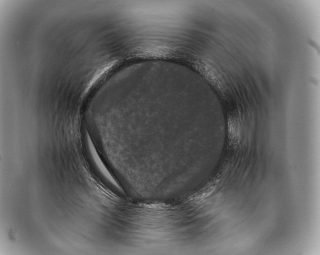 X0000097820396200804111020