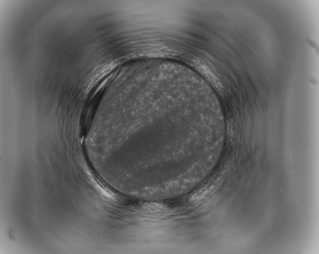 X0000097820397200804111020