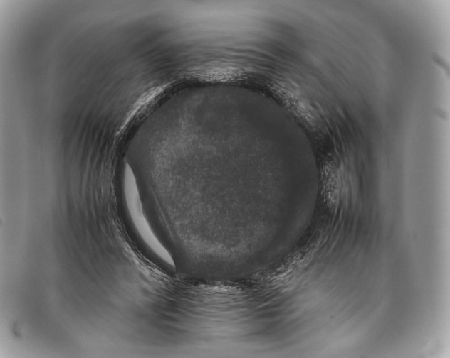 X0000097820400200804111020