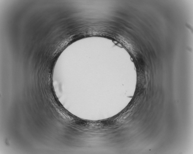 X0000097820401200804111020