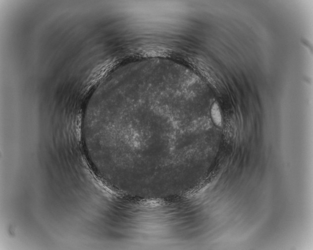 X0000097820402200804111020