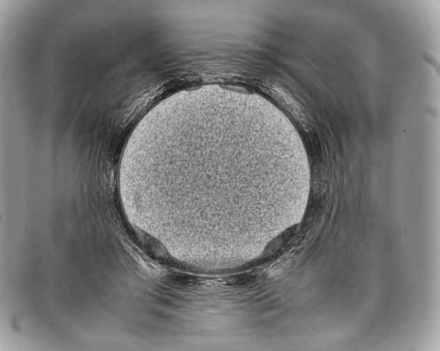 X0000097820405200804111020