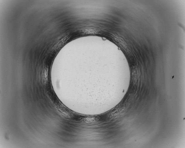 X0000097820406200804111020