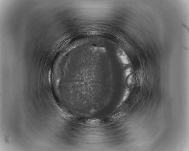 X0000097820410200804111020