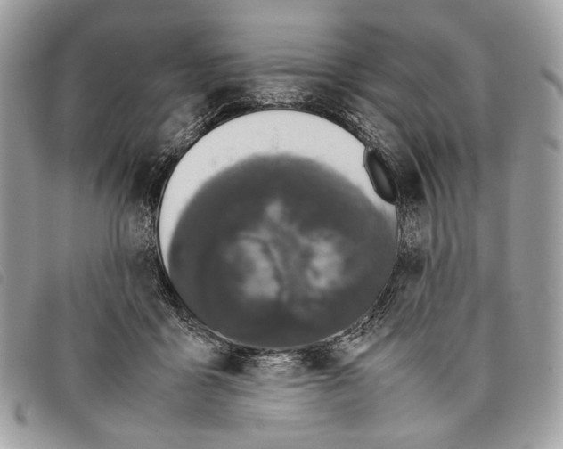 X0000097820411200804111020