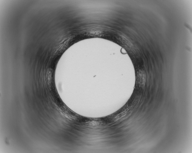 X0000097820412200804111020