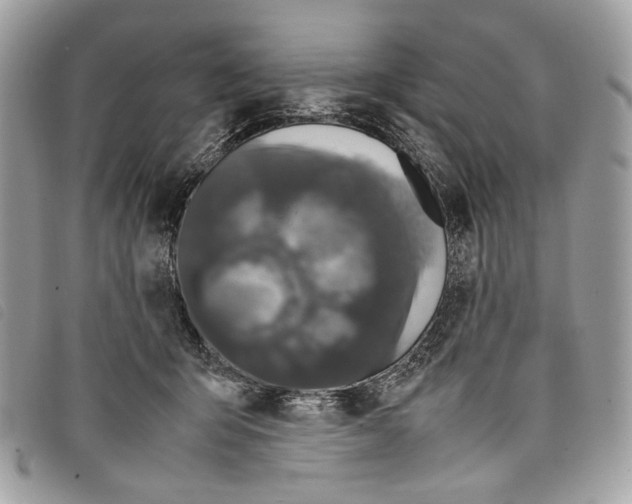 X0000097820415200804111020