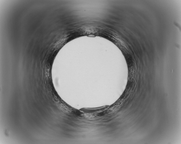 X0000097820417200804111020