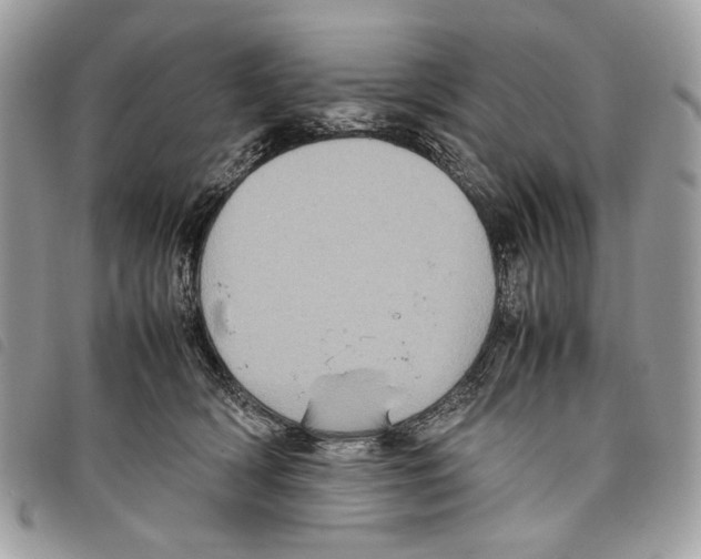 X0000097820418200804111020