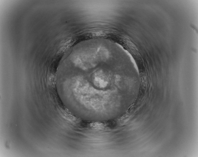 X0000097820419200804111020