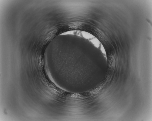 X0000097820420200804111020