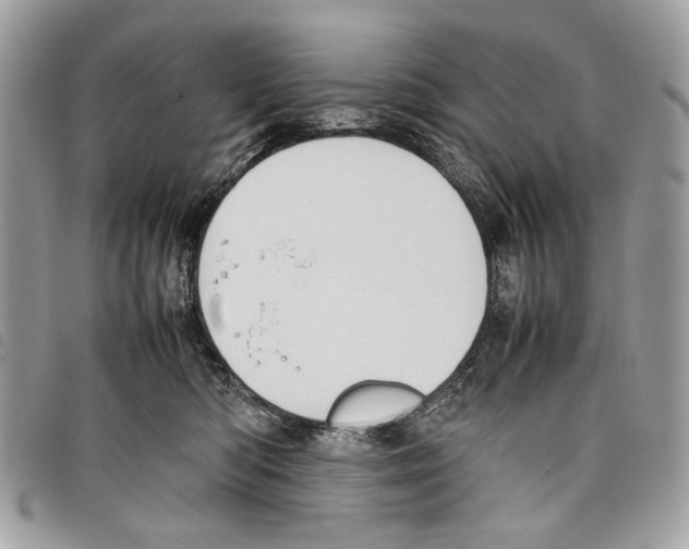 X0000097820422200804111020