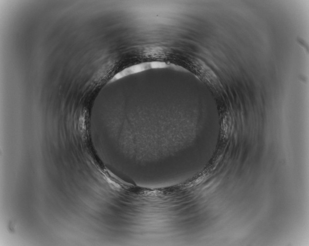 X0000097820424200804111020