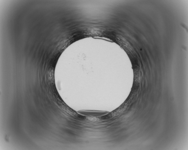 X0000097820425200804111020