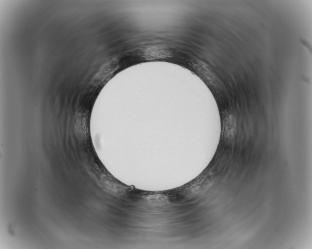 X0000097820426200804111020