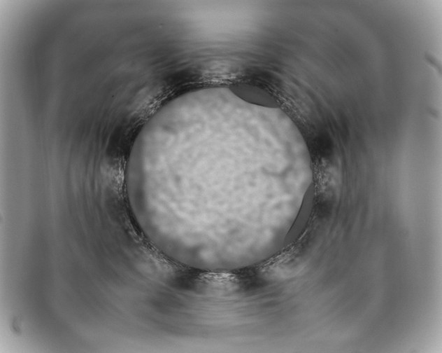 X0000097820427200804111020