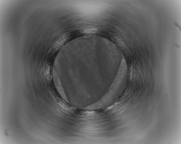 X0000097820428200804111020