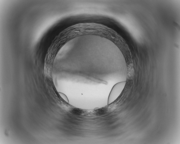 X0000097820431200804111019