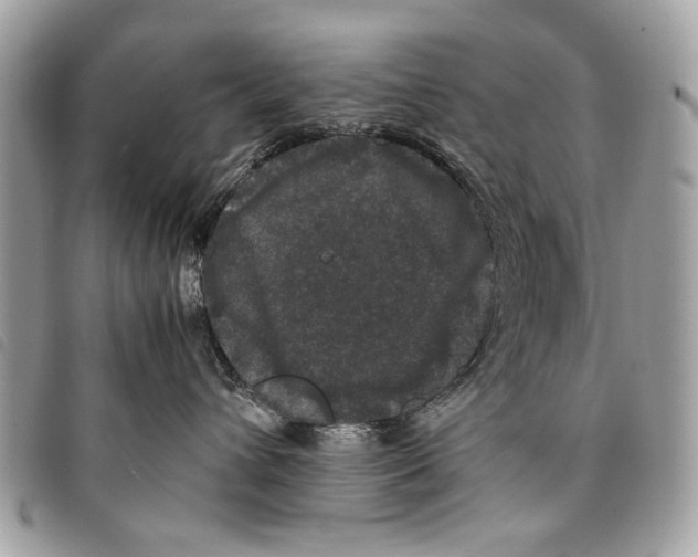 X0000097820432200804111019