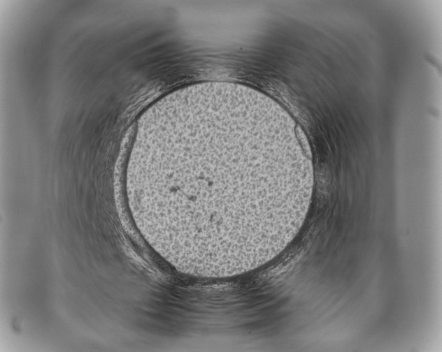 X0000097820433200804111019