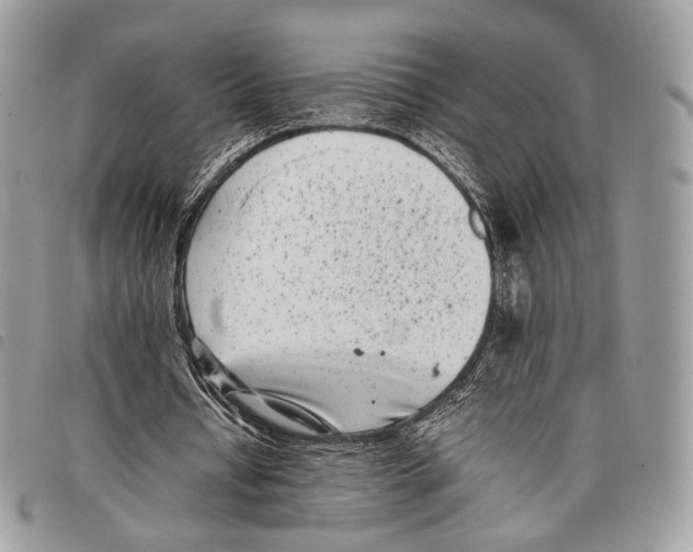 X0000097820434200804111019