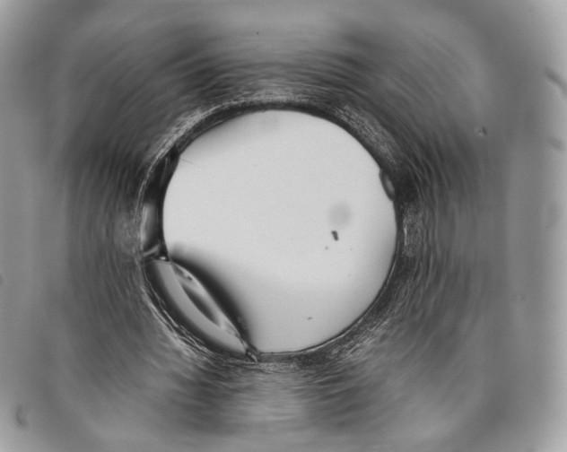 X0000097820436200804111019