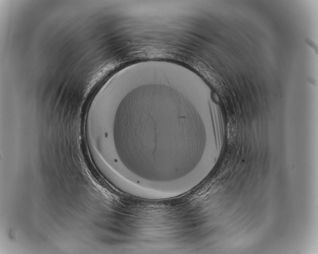 X0000097820438200804111019