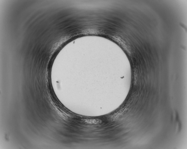 X0000097820439200804111019