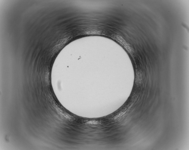 X0000097820441200804111019