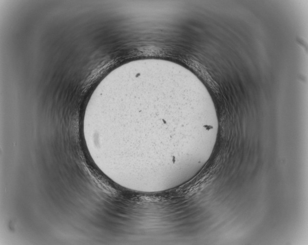 X0000097820442200804111019