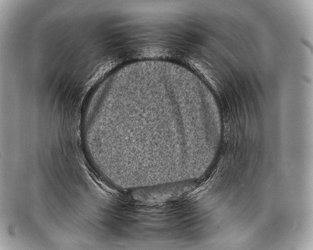 X0000097820443200804111019