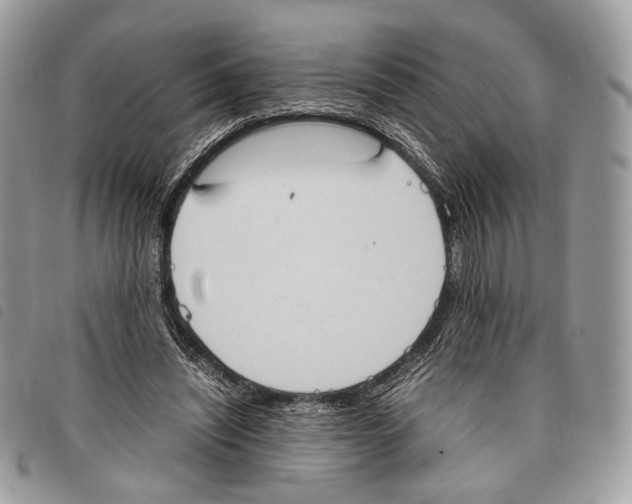 X0000097820444200804111019