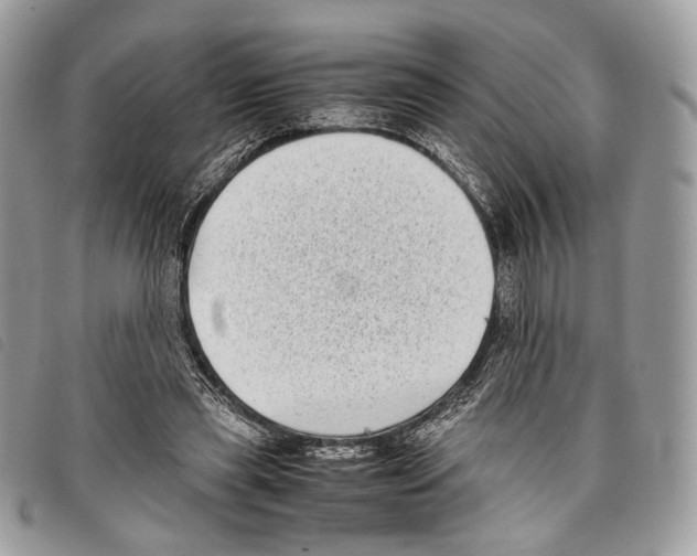 X0000097820445200804111019