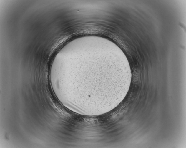 X0000097820446200804111019