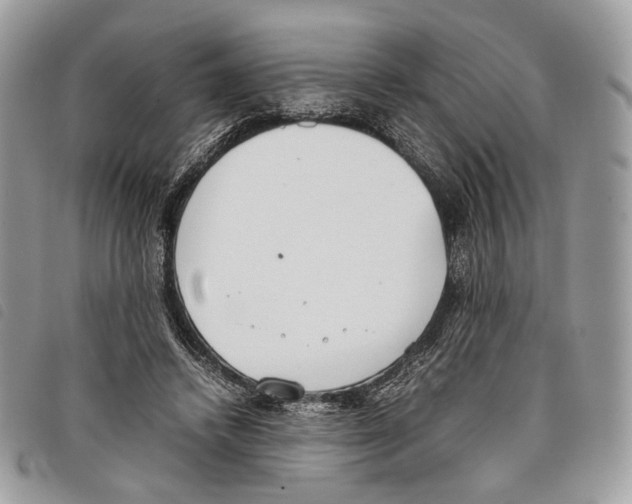 X0000097820448200804111019