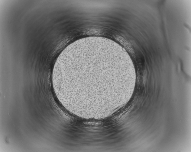 X0000097820449200804111019