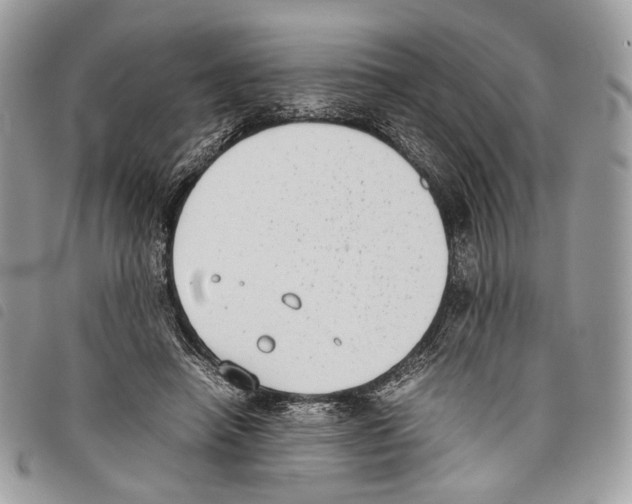 X0000097820450200804111019