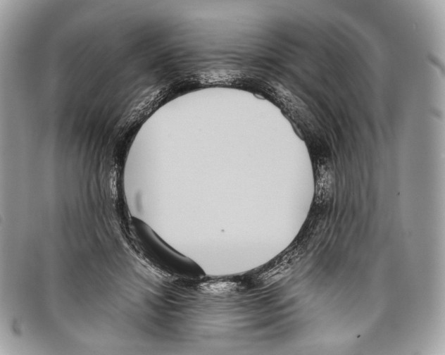 X0000097820452200804111019